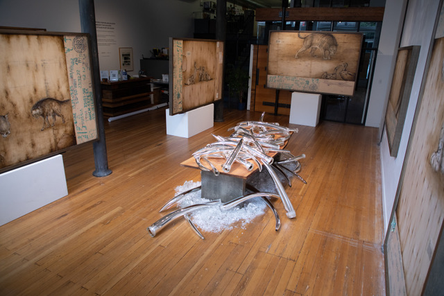 085_Rossano_2020-07-22_Ivory.125_(CBBellMedia)