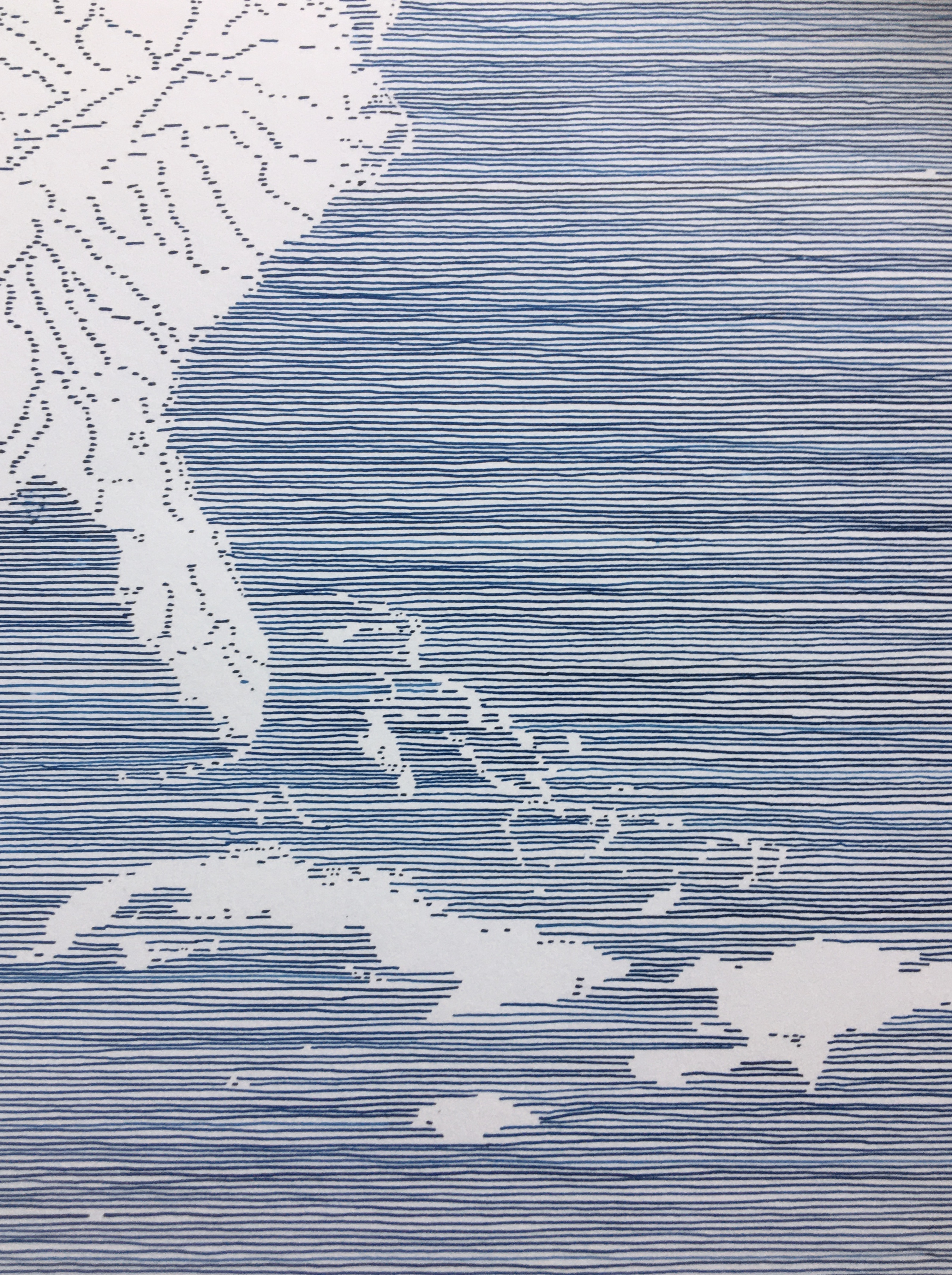 Rugg_2020_Blue_line_MapIMG-3749